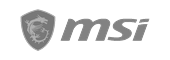 MSI